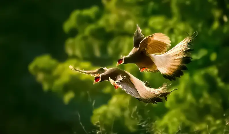 旅行与打麻将,有什么区别?...