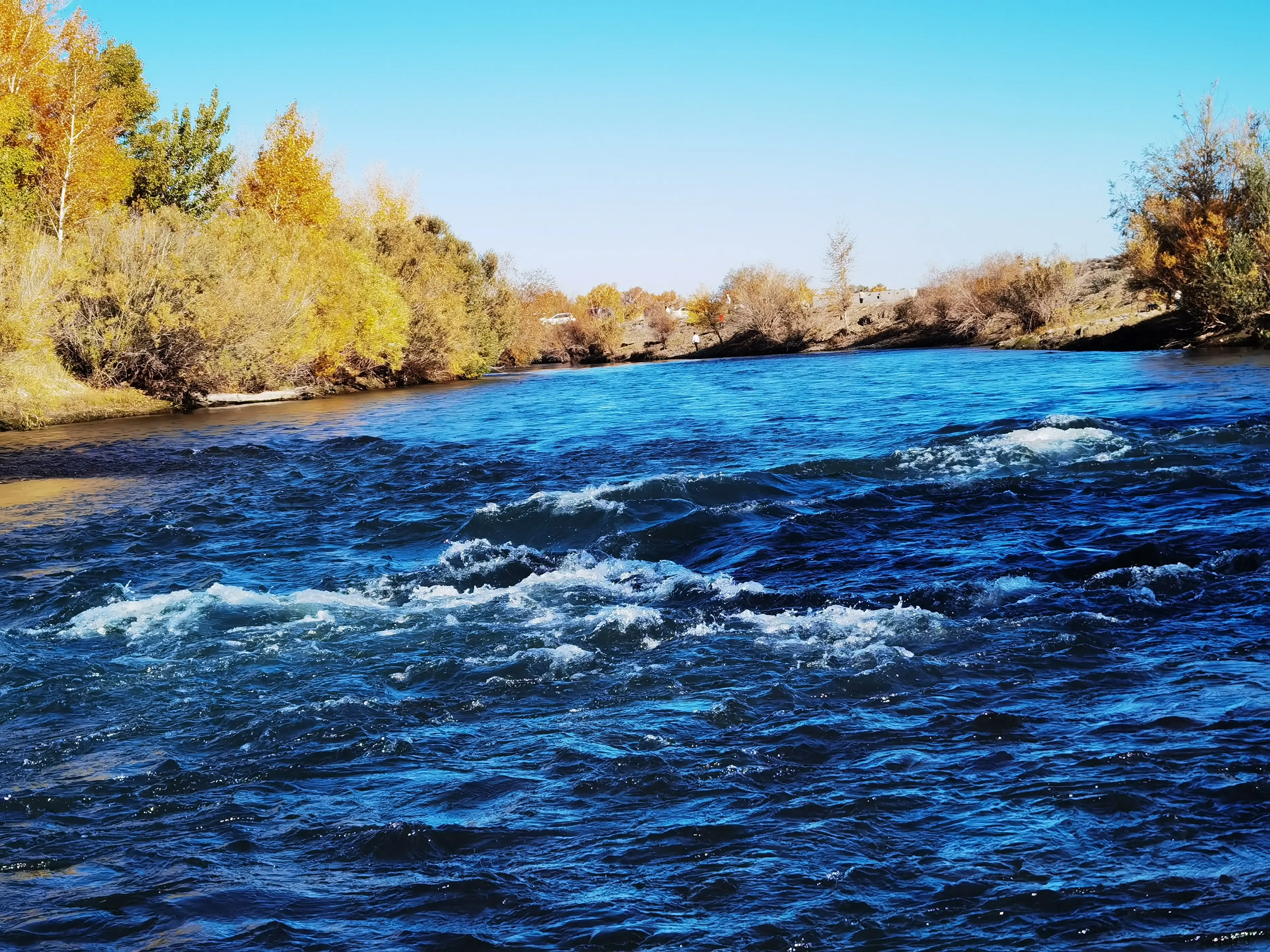 冬季来到阿勒泰是一种什么体验?...