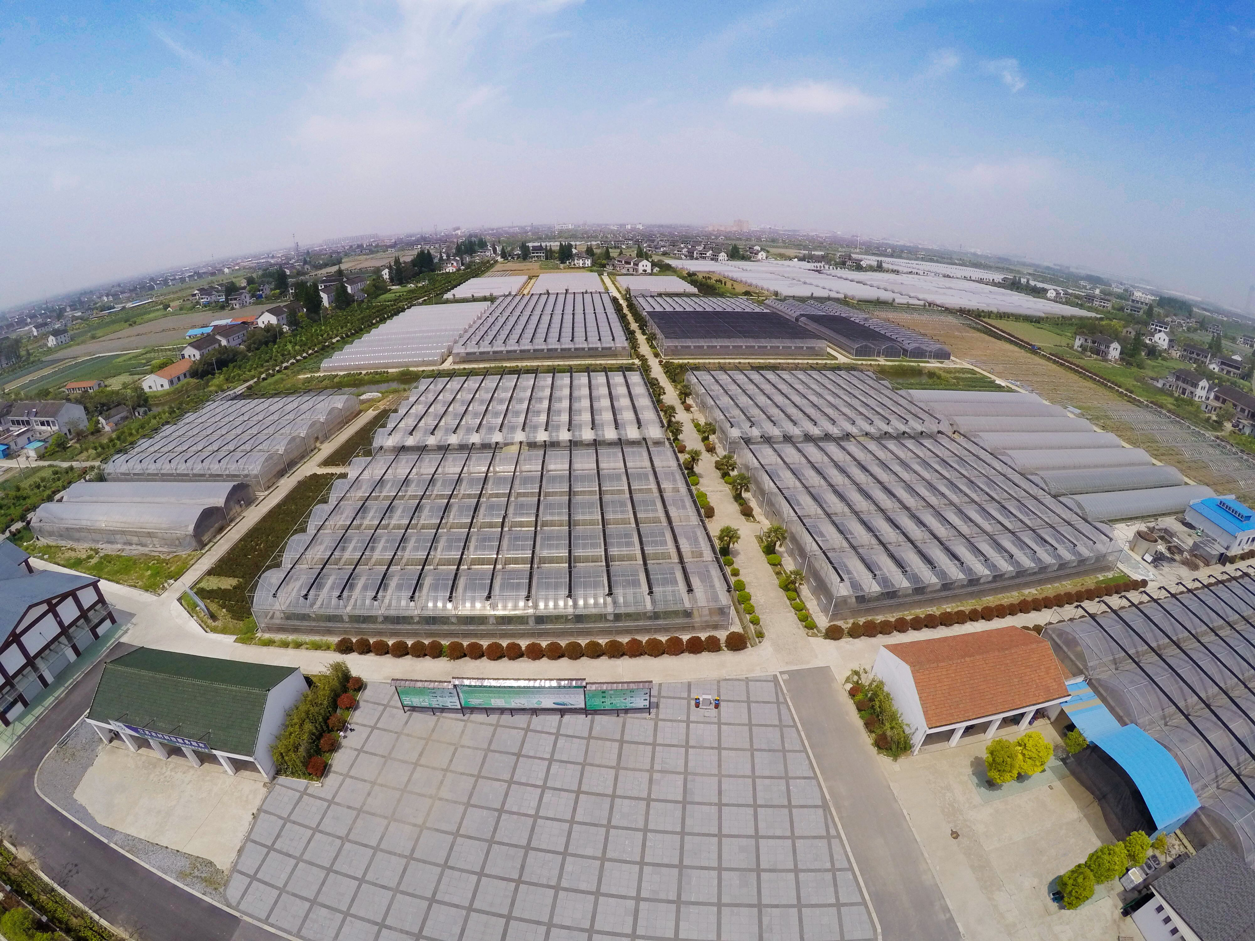 国家现代农业示范区都有哪些地方 国家现代农业产业园和示范区有什么区别