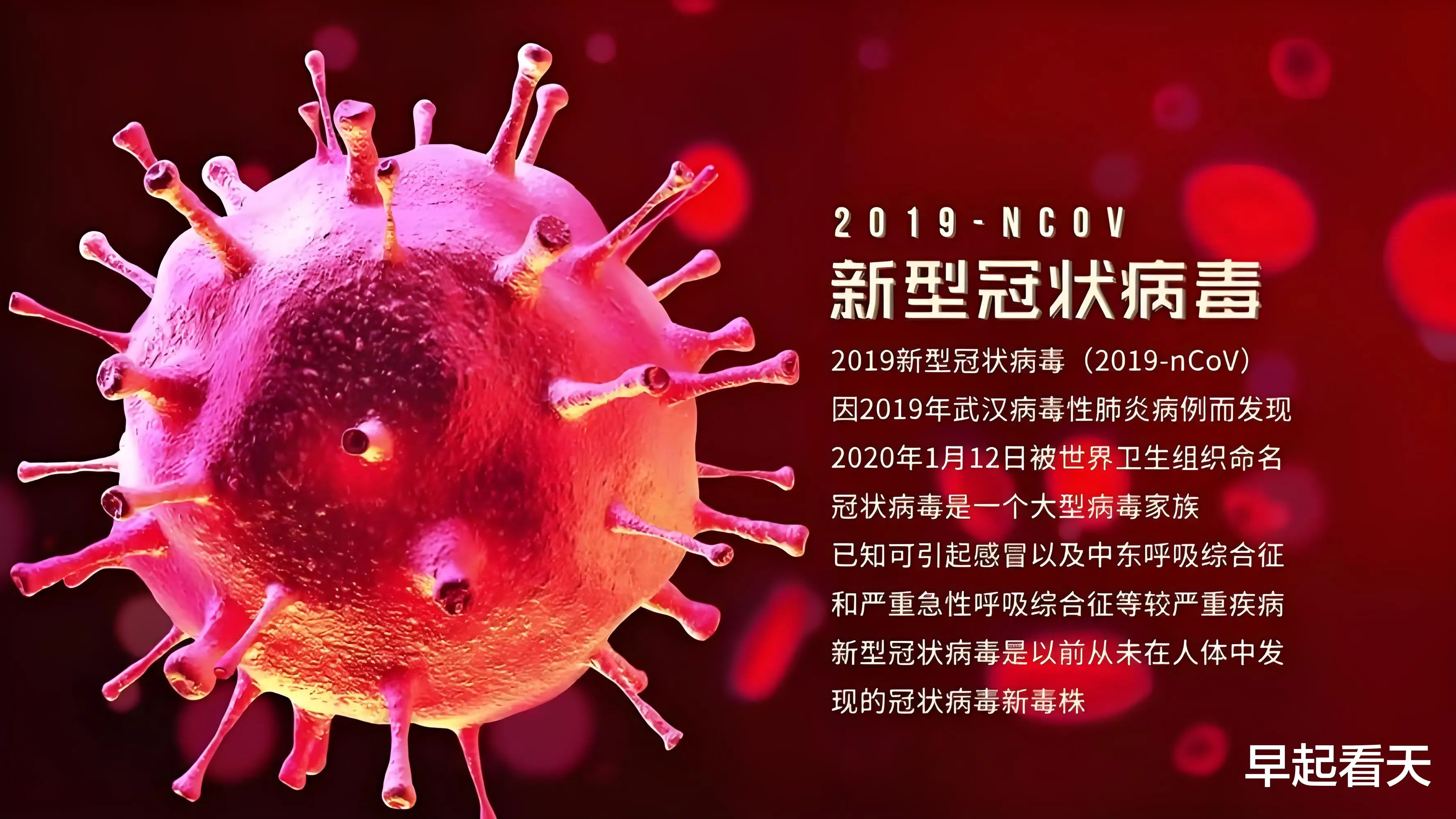 年最新一轮阳性症状