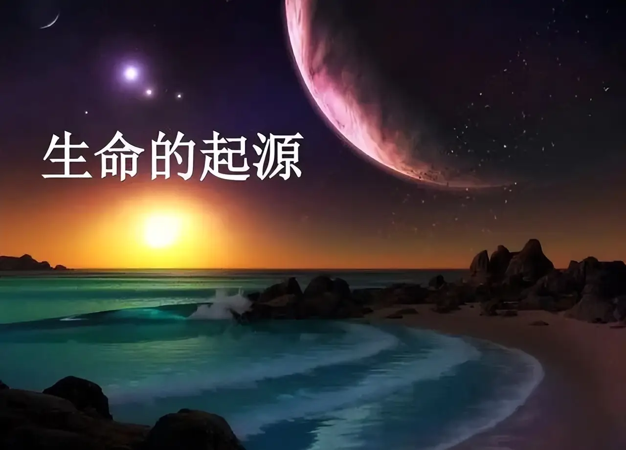 中国蔬菜