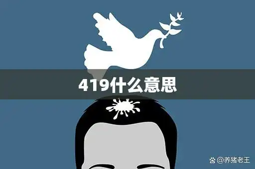 最新社会调查显示,上海贵族宝贝自荐419的由来是什么？背后隐藏着怎样的发展脉络？