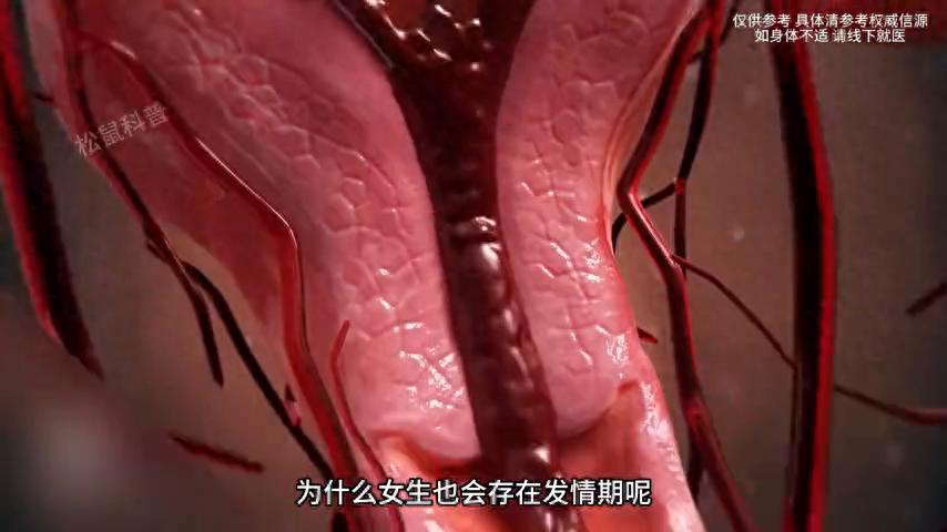 女生适合选什么专业 女生学什么专业最吃香