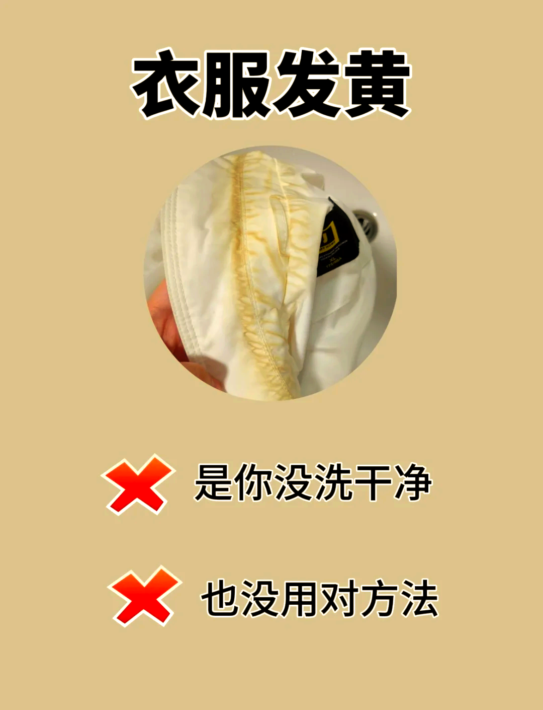 衣服发黄变白妙招 脂肪燃烧顺序解析