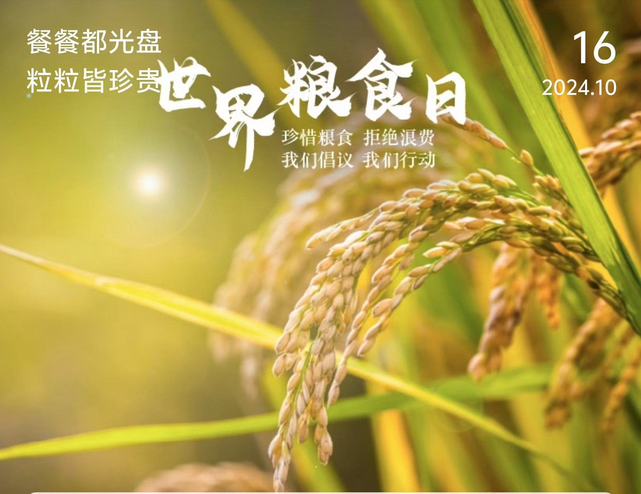 世界粮食日是哪天 世界粮食日的由来及意义