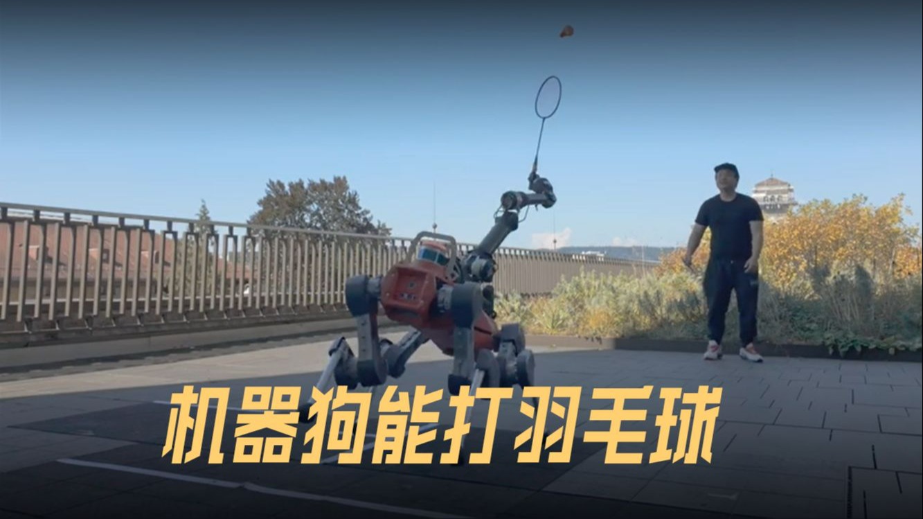 机器动物的卧底偷拍...