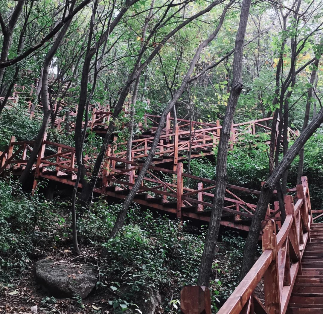 沈阳网络实战教程