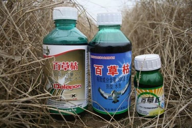农药残留