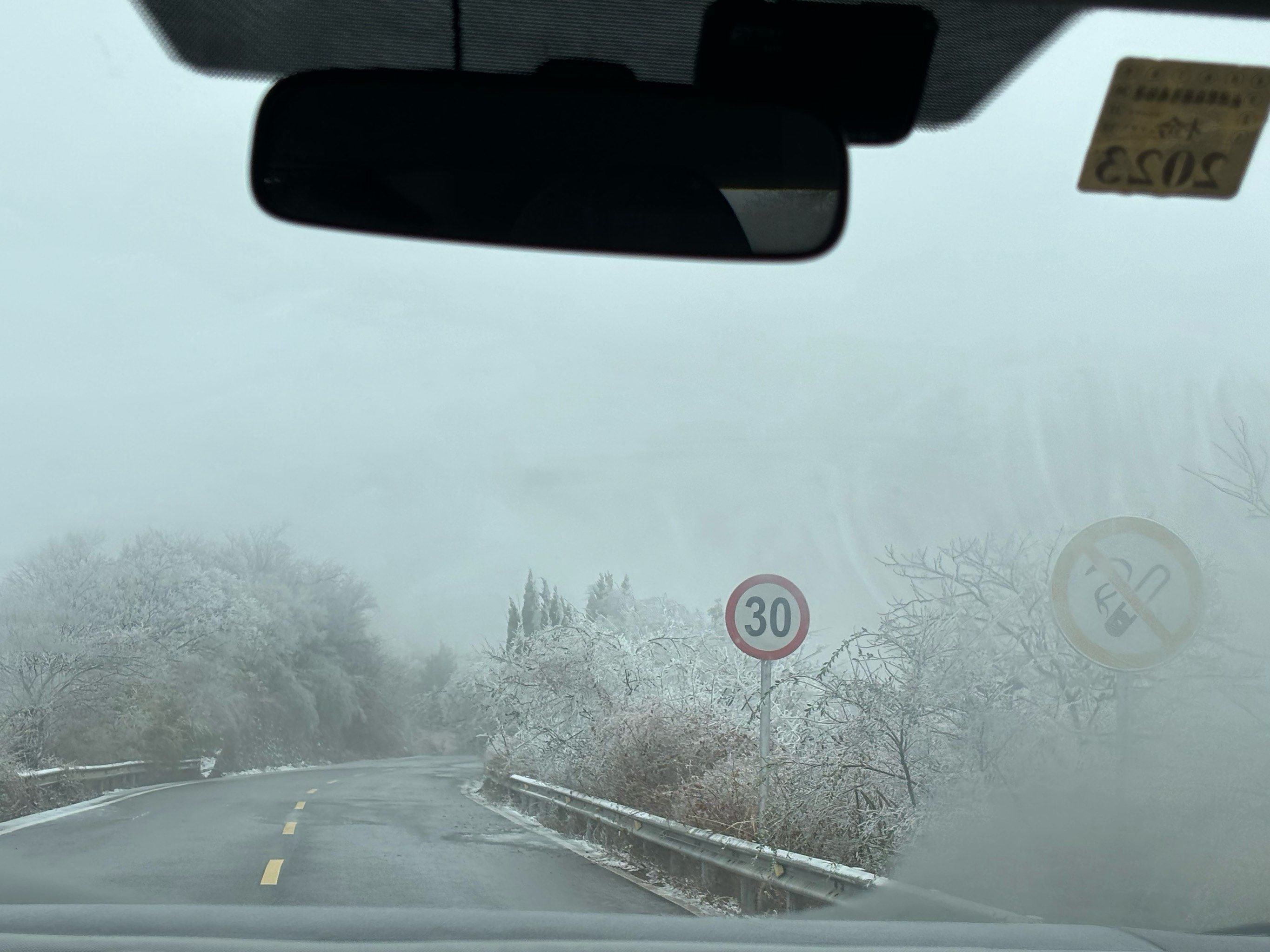 威海水会交流群的冬日常识、吉祥花语与清明节习俗全解析