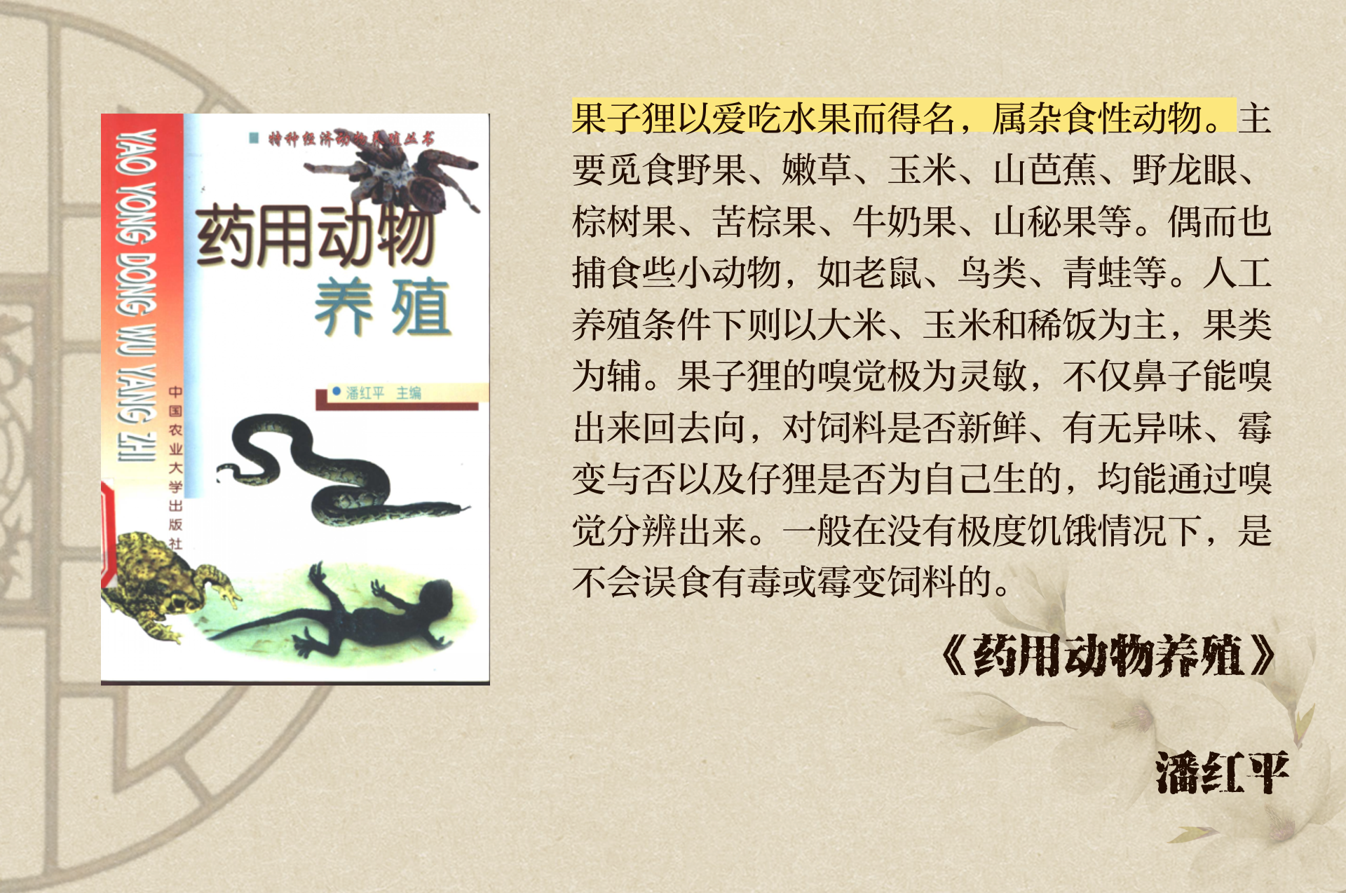 果子狸野生养殖区别 果子狸养殖合法吗养殖前景如何