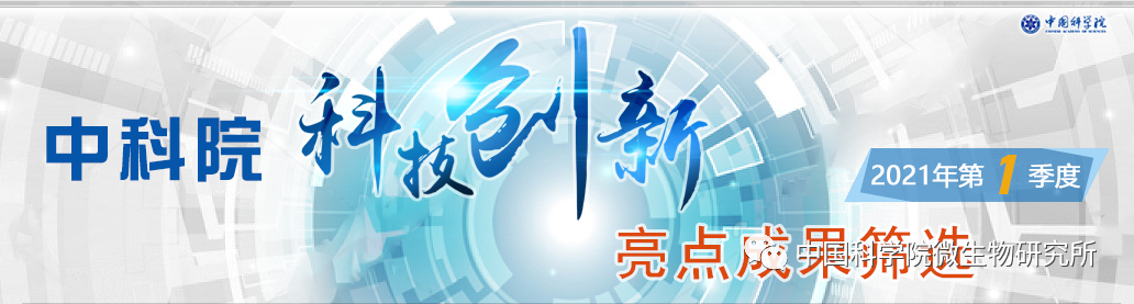 移动端应用开发框架及RPA解决方案有什么优势 本地生活APP开发的核心价值是什么