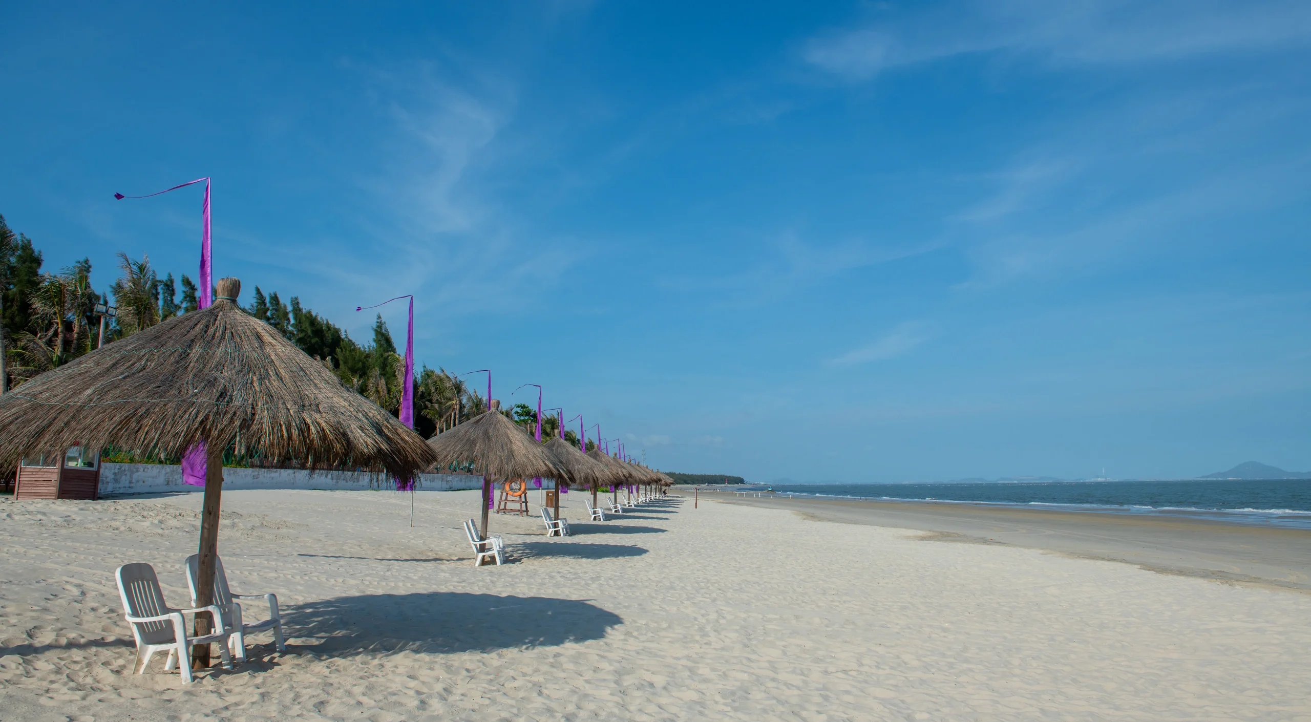 茂名寻找卖学生的小妙招