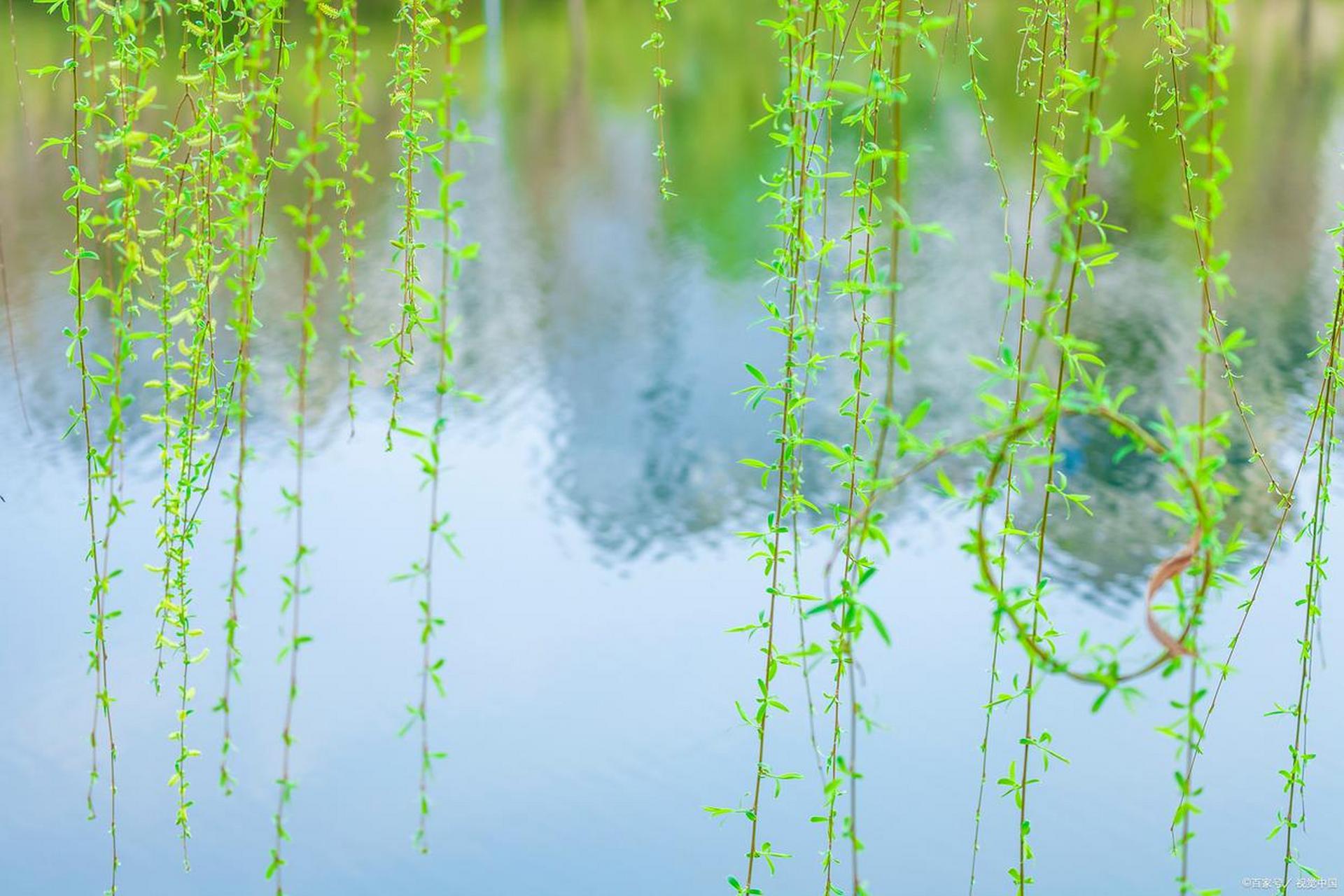 肇庆陌陌上约的500一次靠谱吗