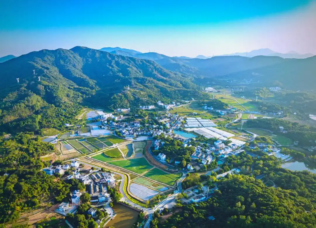 罕见消息：惠阳秋长街道小巷子还有吗？实测现状与避坑指南