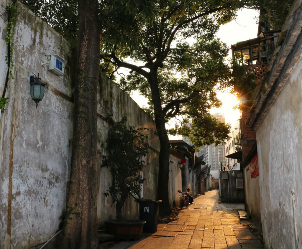 城市小巷服务指南：按摩擦鞋与夜间娱乐全攻略