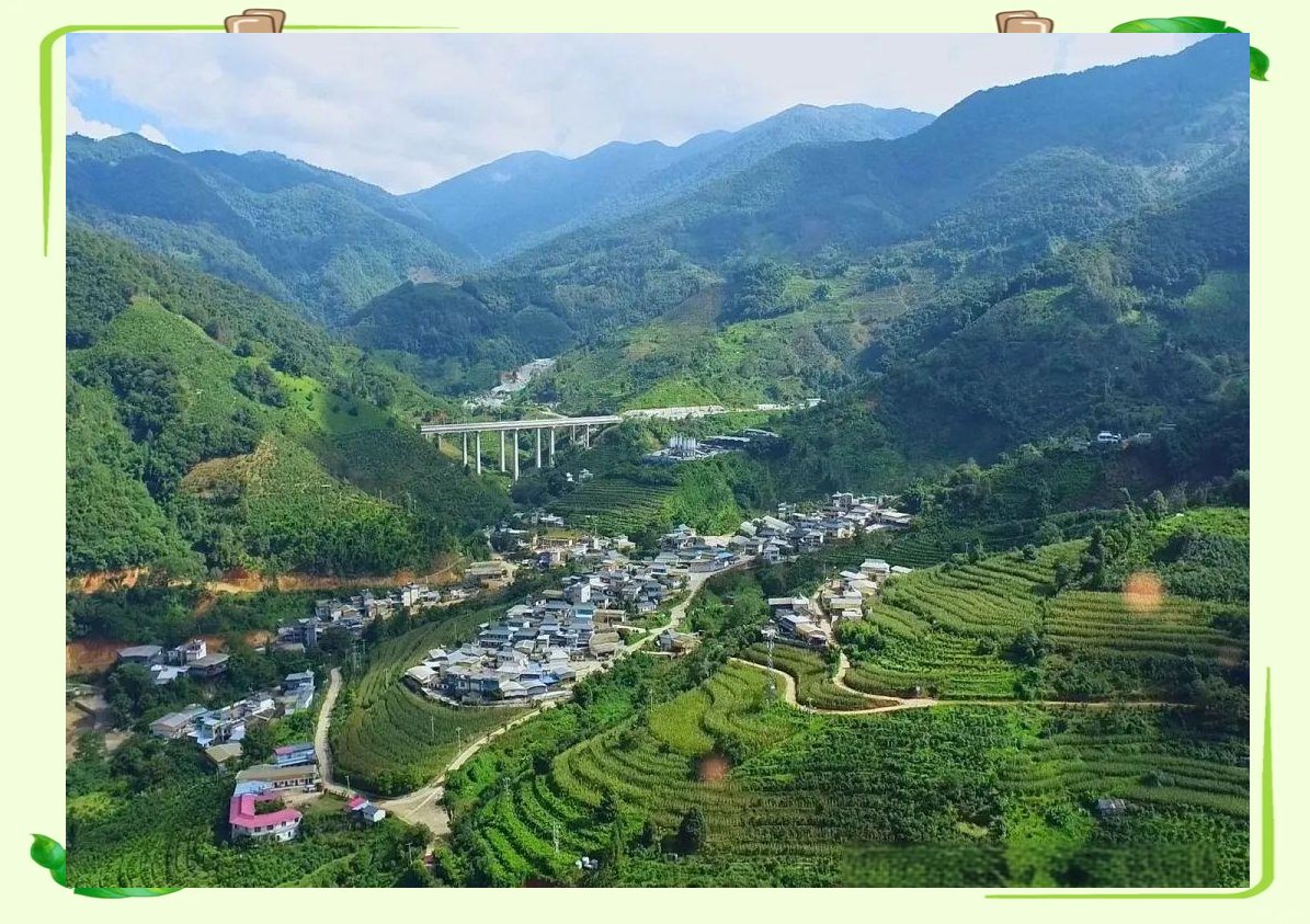 临沧酒店住宿指南与推荐，临沧酒店里怎么叫妹子