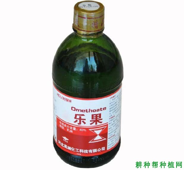 乐果农药适合杀什么虫 乐果农药主治害虫有哪些