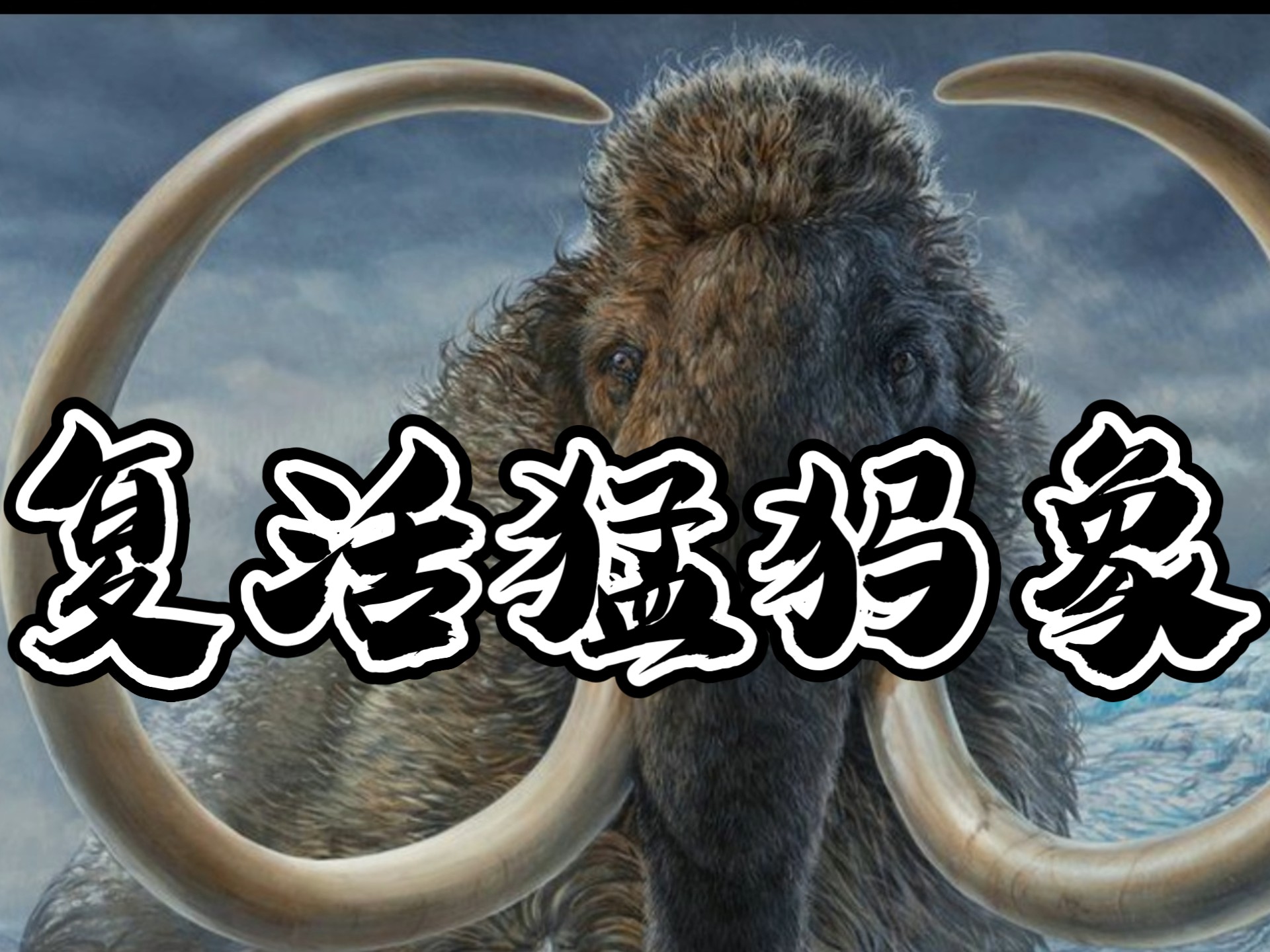 复活猛犸象计划 为何选择复活猛犸象