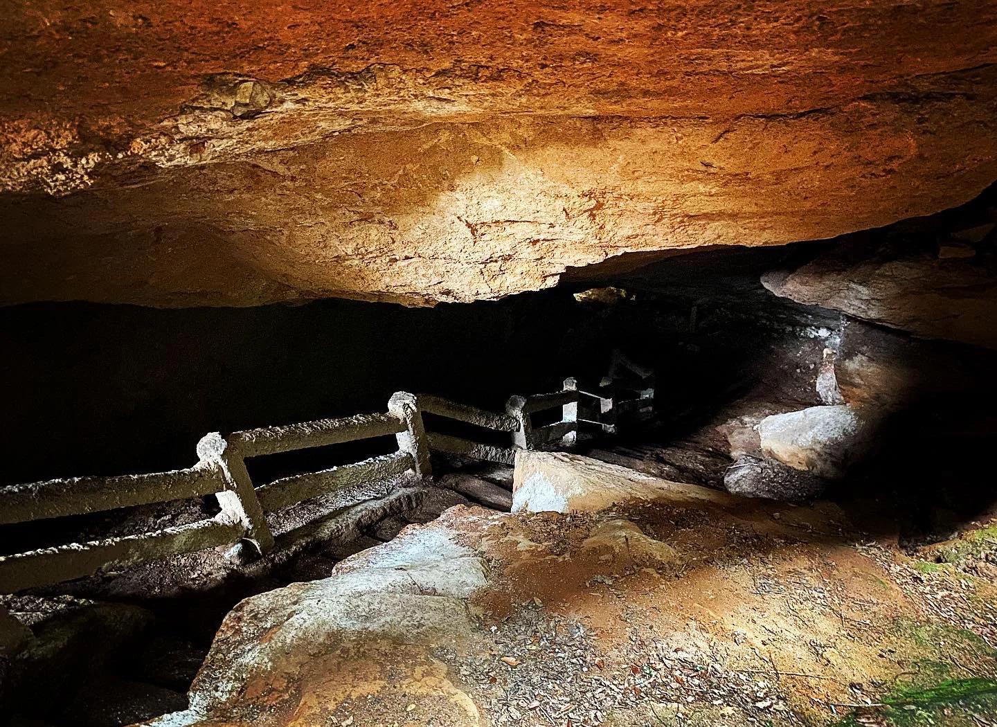 全国兼职一线天论坛:揭秘中国最大灵活用工社区的生存法则与财富密码
