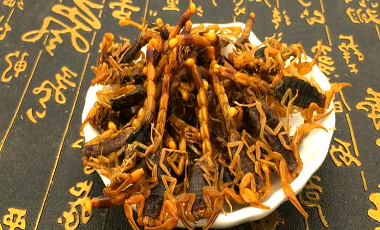 全蝎的功效与作用
