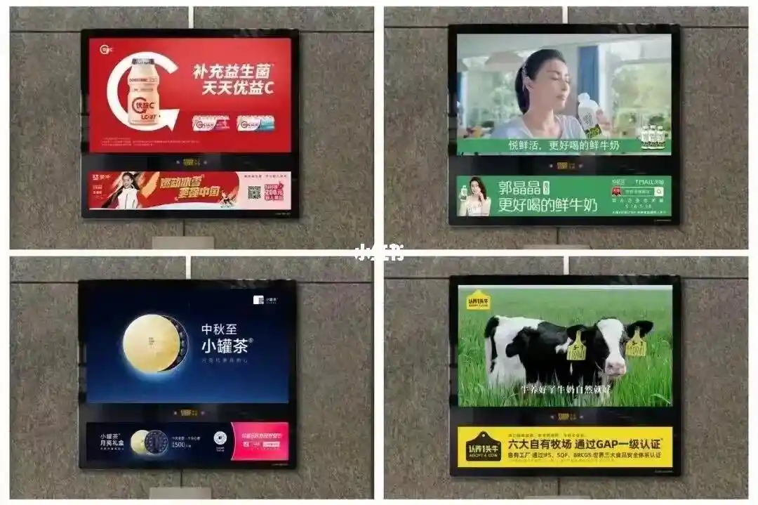有前途的互联网创业项目 最新的互联网创业项目有哪些