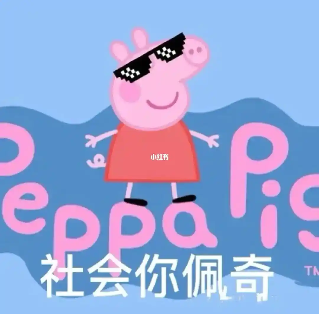 佩奇为什么叫社会猪 小猪佩奇社会人梗的由来