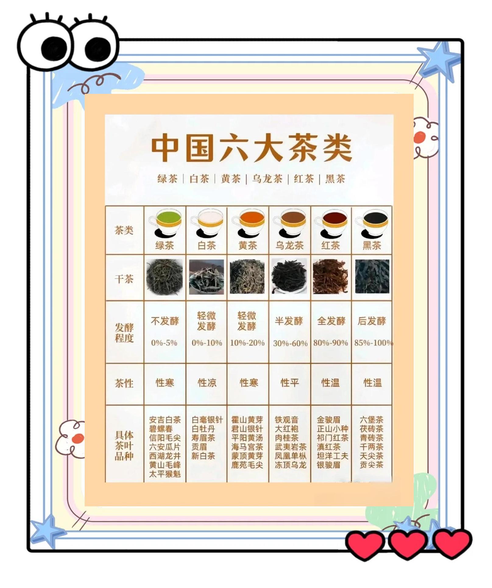 南宁上门茶怎么选才不踩坑—新手选茶全攻略