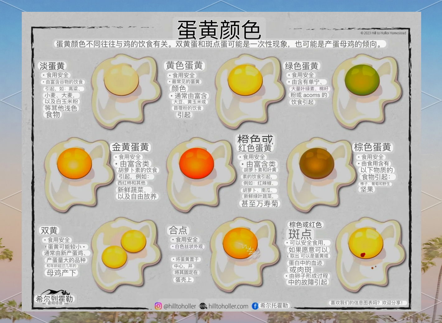 蛋黄越黄鸡蛋越好吗 鸡蛋黄颜色与营养价值关系