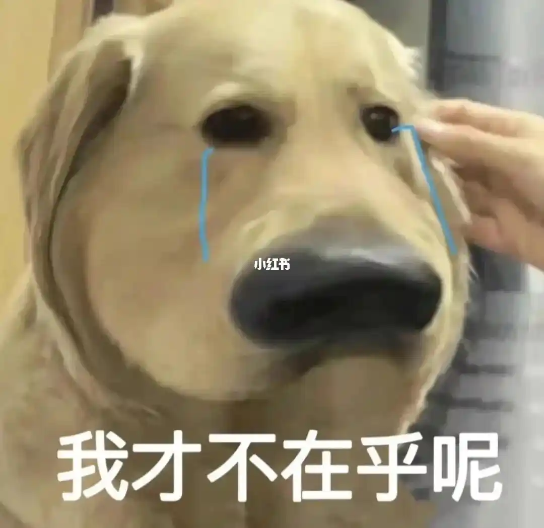 向日葵远程控制注册要钱吗 聆听DX9耳放设备的高保真体验