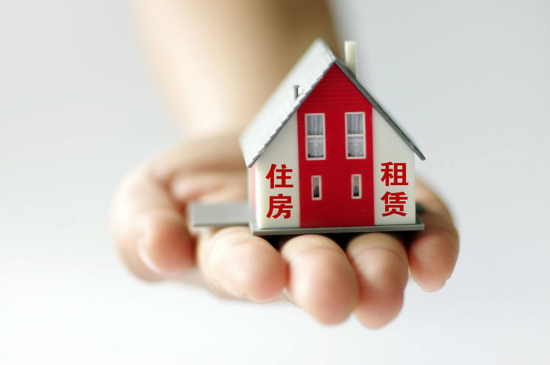 水泥森林里的体温:一对租客用两百块撑起的爱情经济学