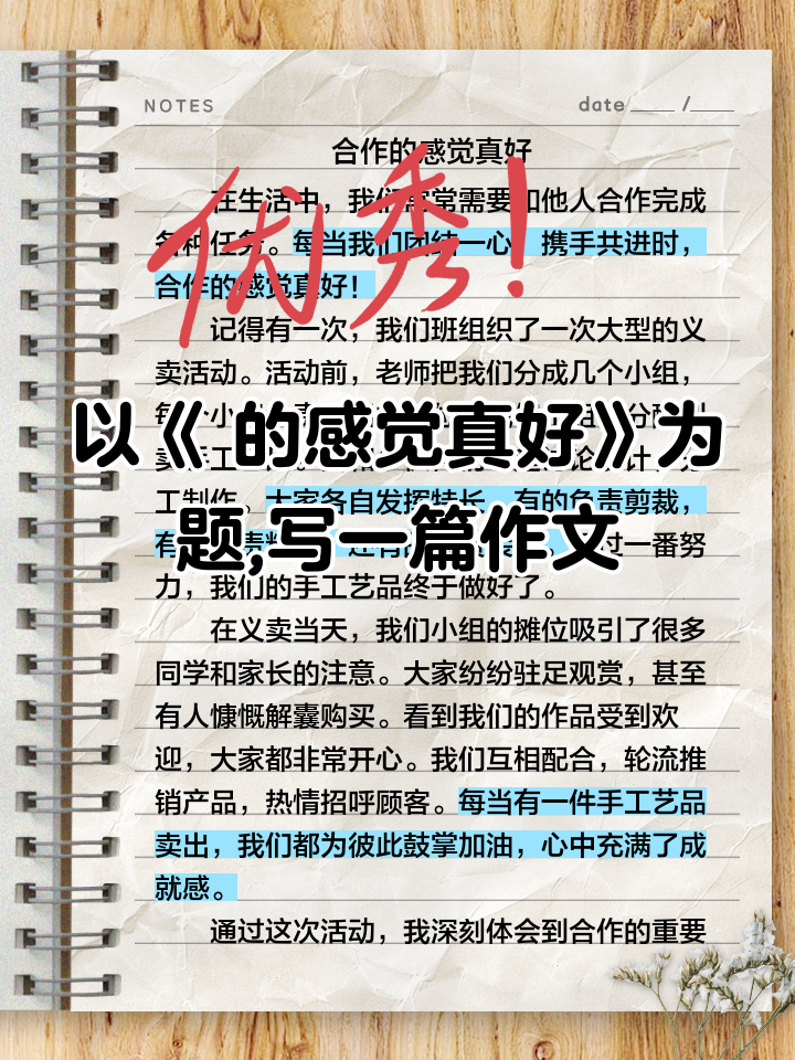 断舍离的灵魂是“怦然心动”法则...