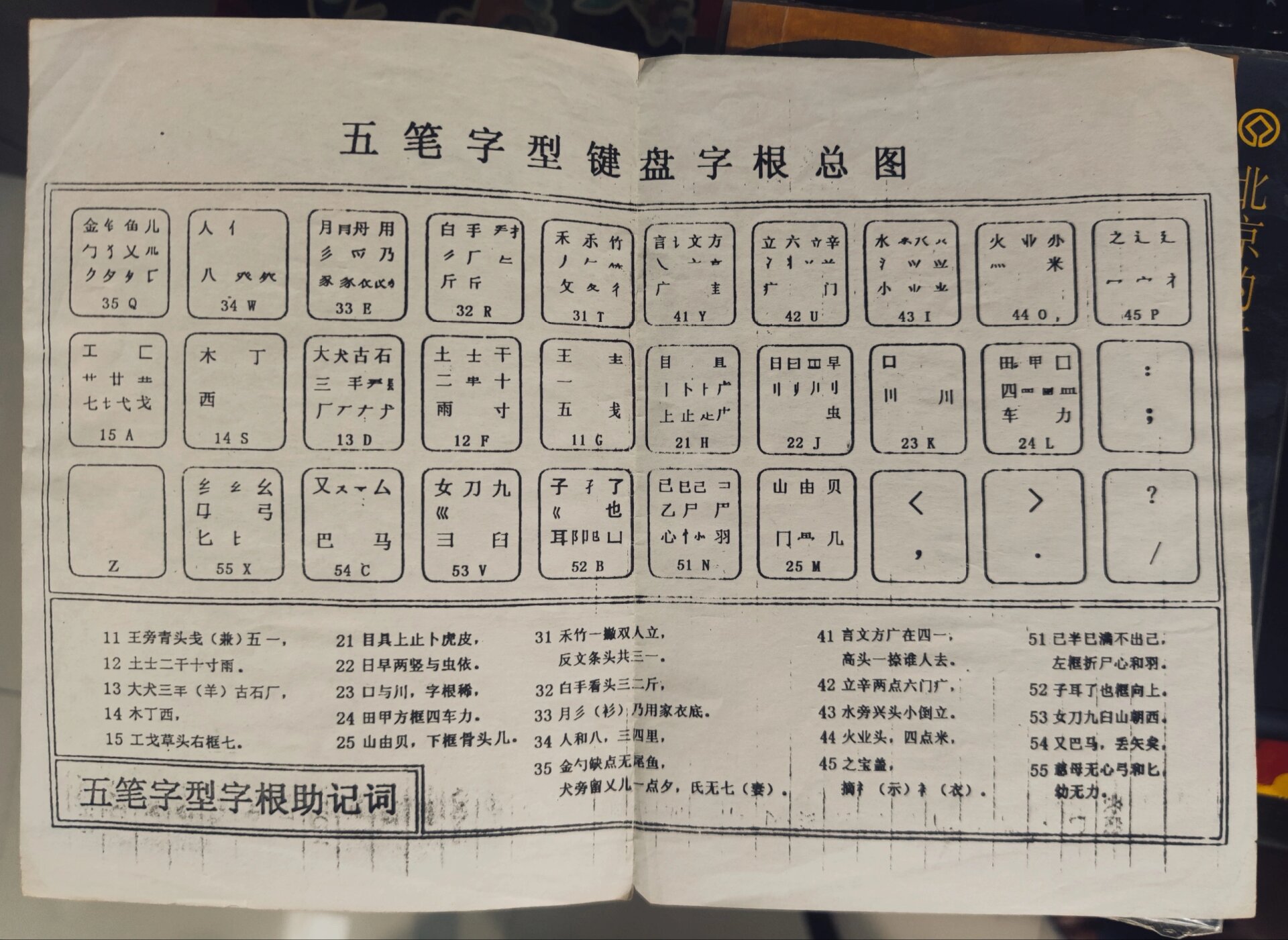牛奶是必需品还是阴谋?为什么人类是成年以后唯一能喝...