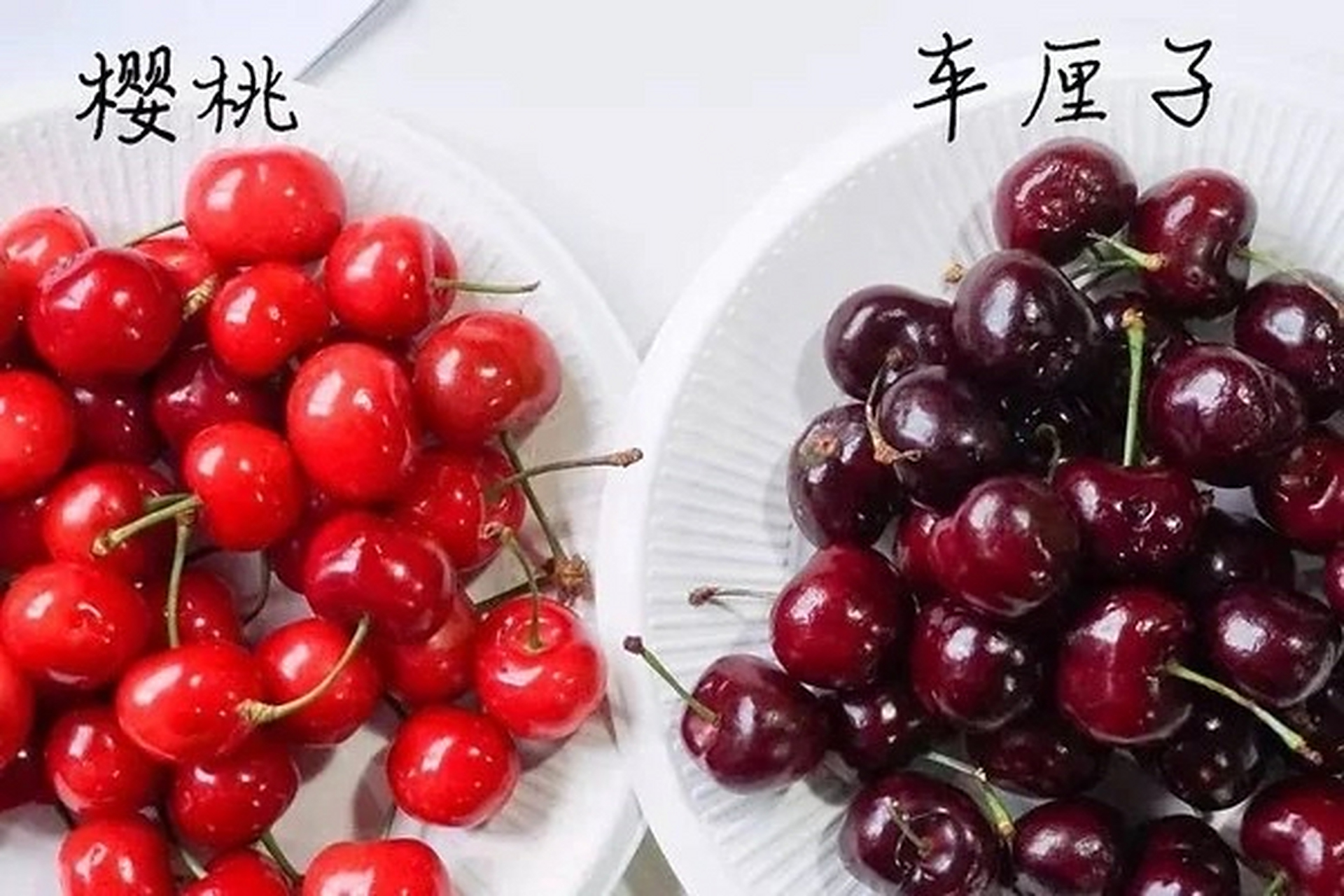 车厘子和樱桃的区别是什么 车厘子和樱桃有什么区别
