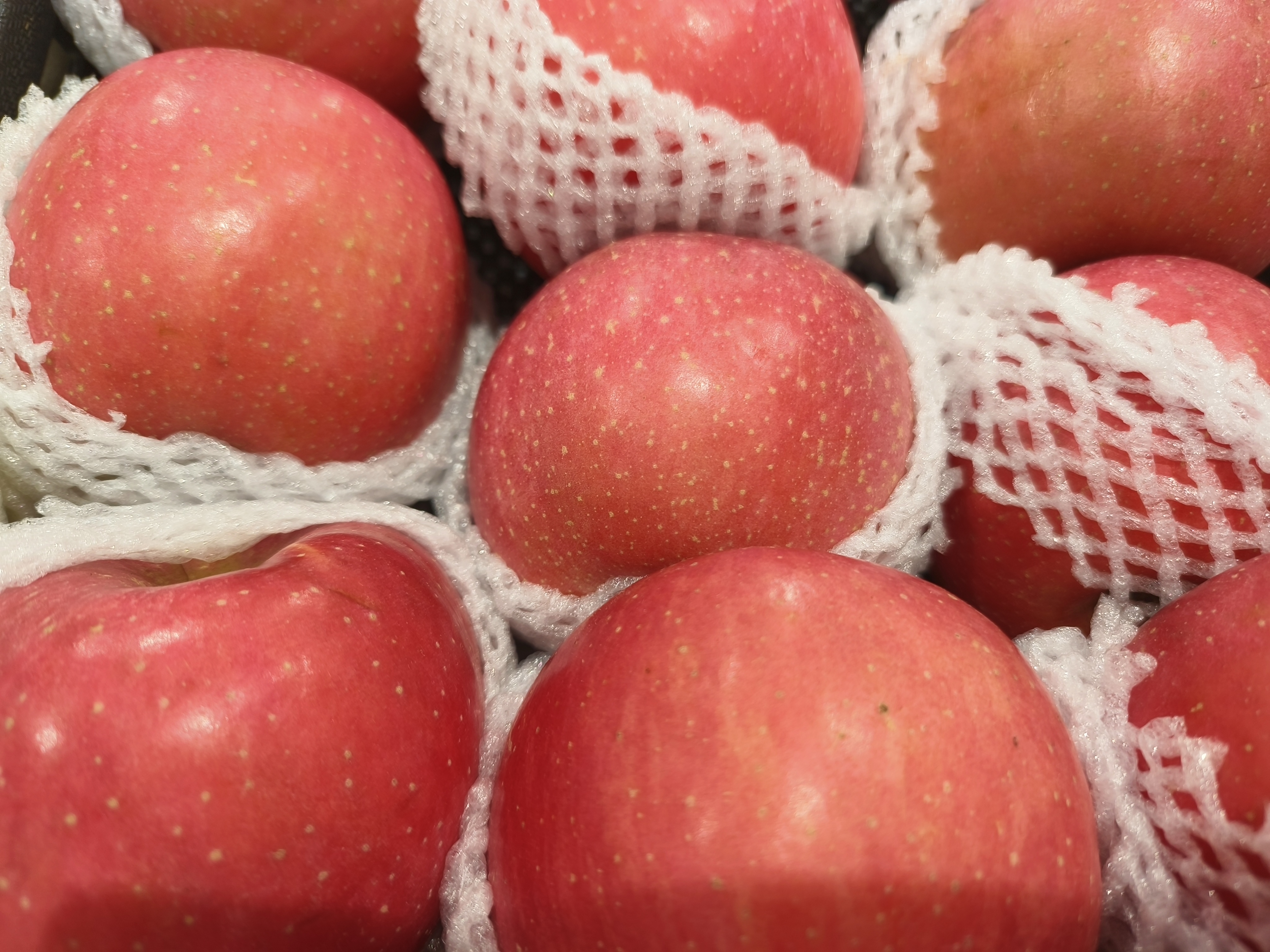 苹果7p微信分身怎么弄 快用苹果助手如何下载安装和使用