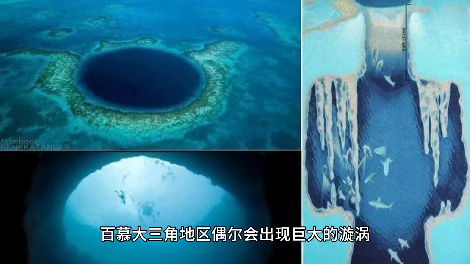 长得像金字塔的花椰菜是什么神仙物种？...