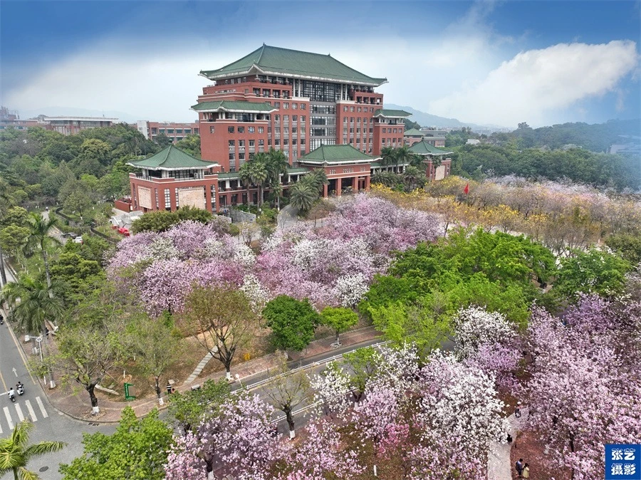 华农兄弟转型养羊 技术与收益如何 养羊投资靠谱吗