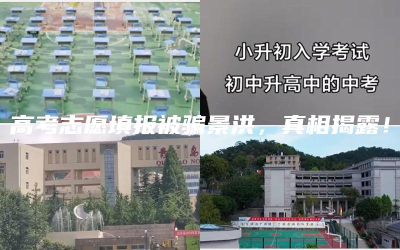 高考志愿填报被骗景洪，真相揭露！