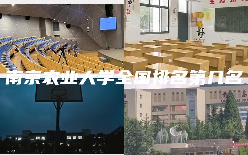 南京农业大学全国排名第几名