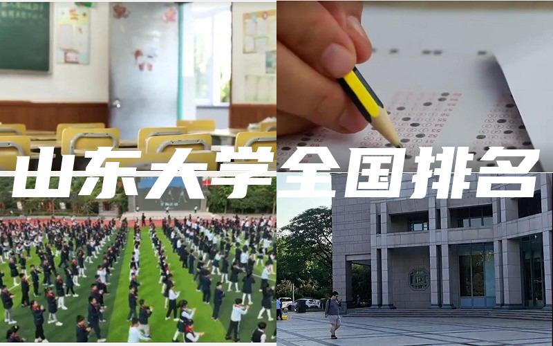 山东大学全国排名