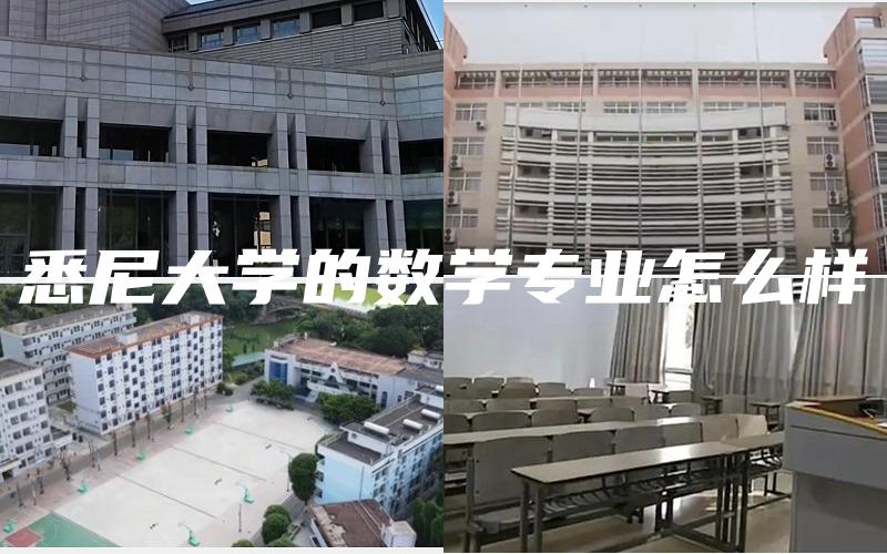 悉尼大学的数学专业怎么样