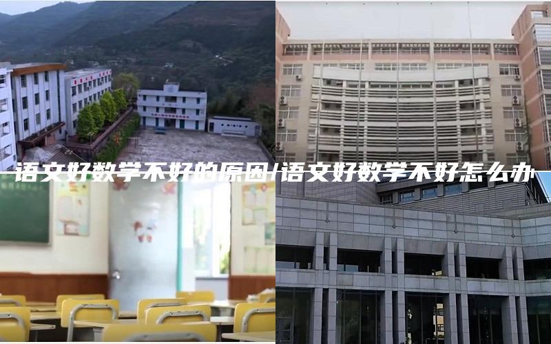 语文好数学不好的原因/语文好数学不好怎么办
