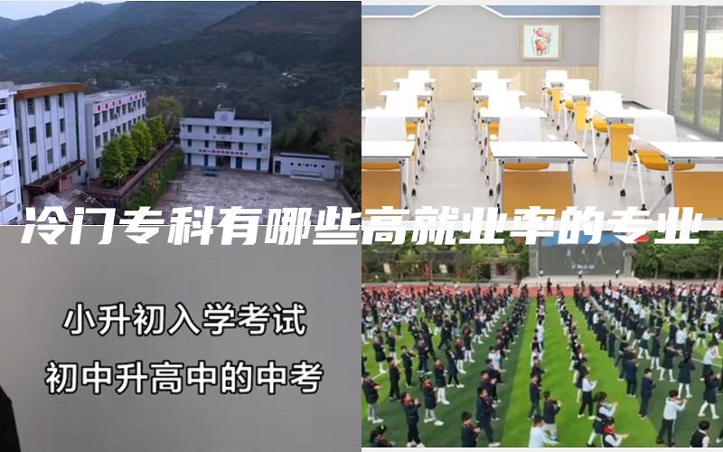 冷门专科有哪些高就业率的专业