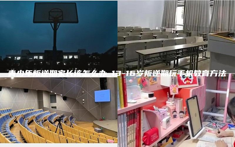 青少年叛逆期家长该怎么办_13-16岁叛逆期玩手机教育方法