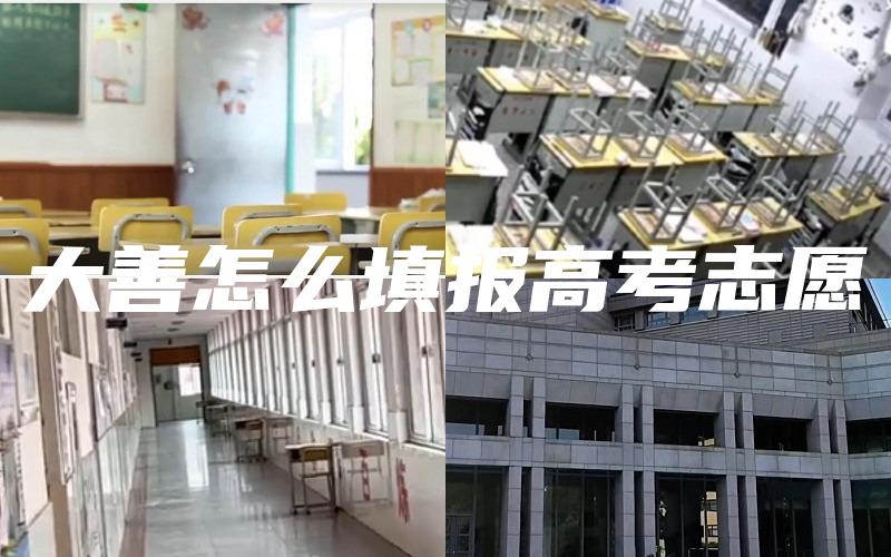 大善怎么填报高考志愿