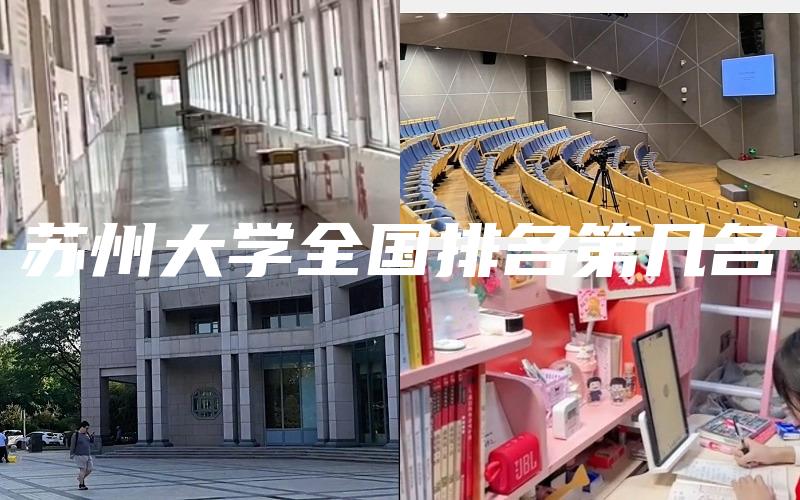 苏州大学全国排名第几名