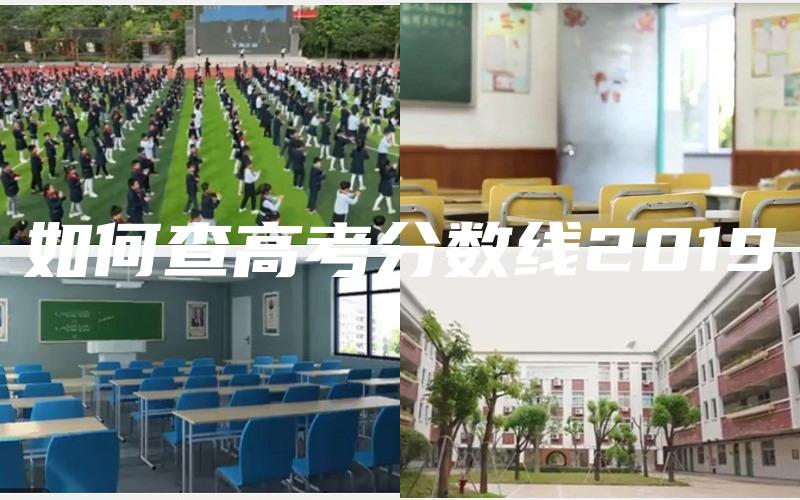 如何查高考分数线2019