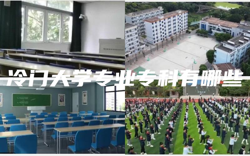 冷门大学专业专科有哪些