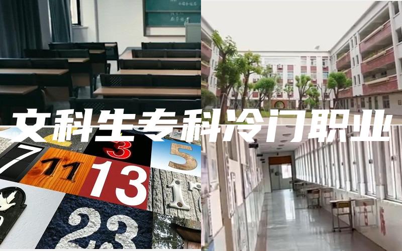 文科生专科冷门职业