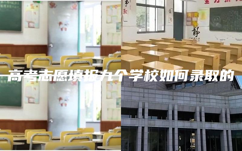 高考志愿填报九个学校如何录取的