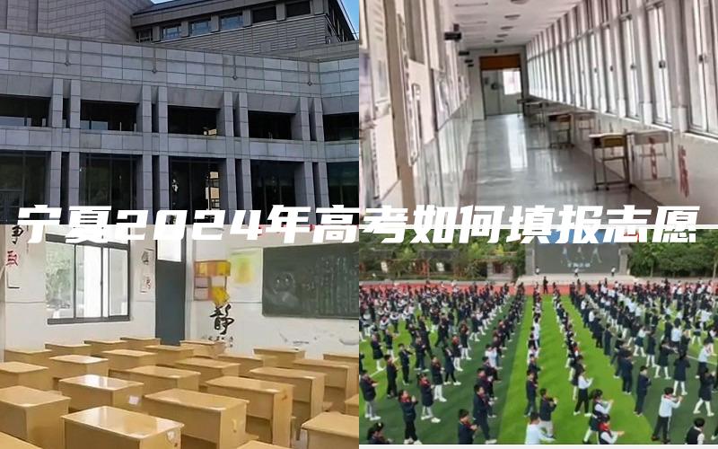 宁夏2024年高考如何填报志愿